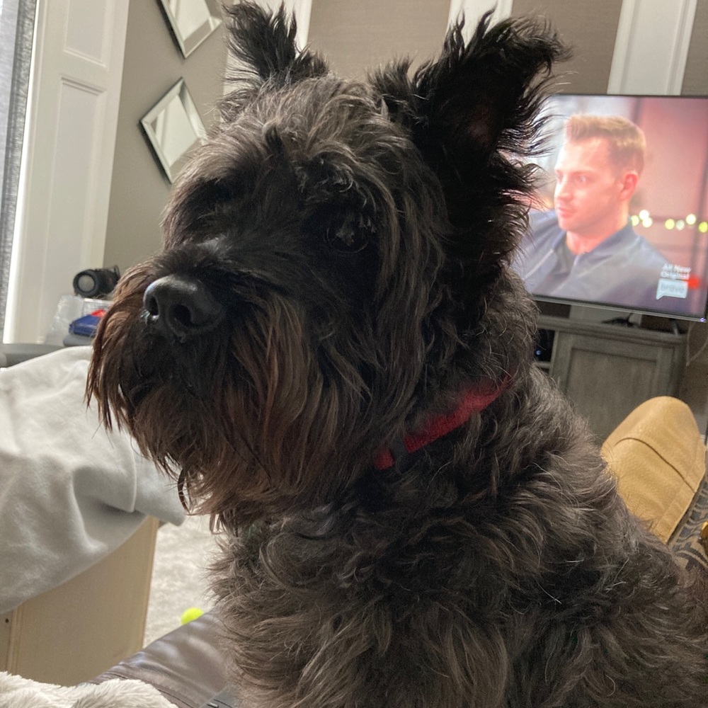 Meet your Posher, Toni